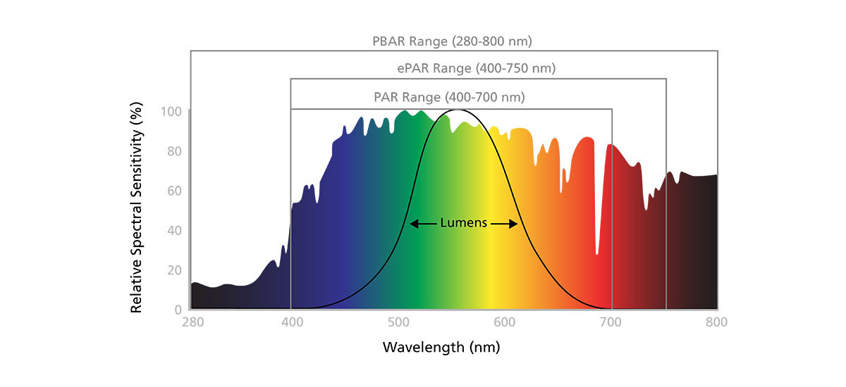 Photosynthetic vs Human Eye Response A graph showing spectral sensitivity by wavelength